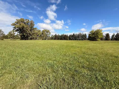 Terreno en Venta en Los Pinares Country Club, USD 38.000