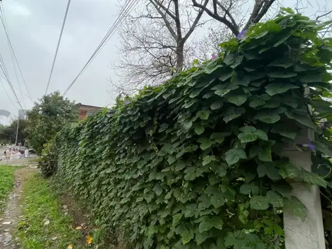Av. 526 esq 30 , Piso 0