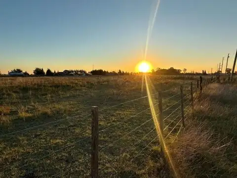 Terreno en Venta de 5300,0 m2