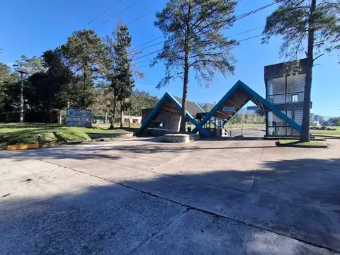 Aires De Pedemonte 100