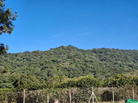 Terreno en Venta 32  mts Fondo