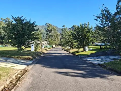 Aires De Pedemonte 100