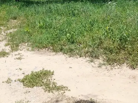 Terreno en Venta de 900,0 m2