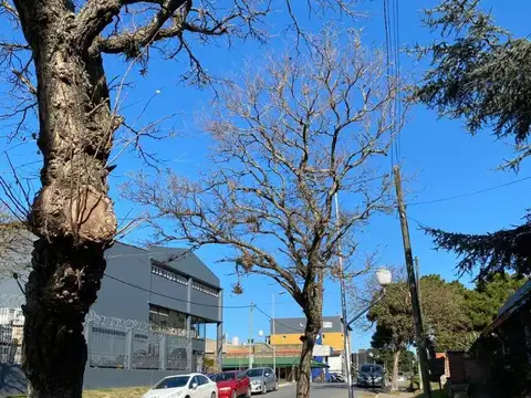 Júpiter 700
