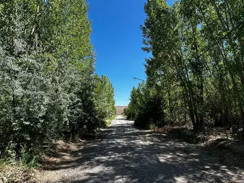 EN VENTA LOTE LA FORESTADA, AÑELO, NEUQUEN