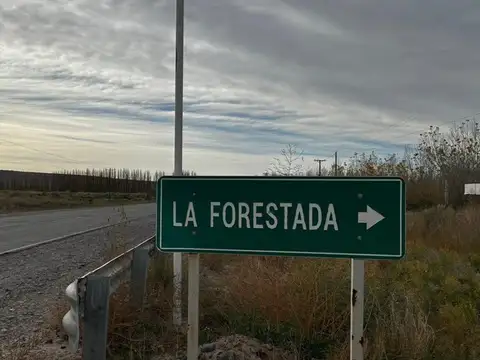 Terreno en Venta de 540,0 m2