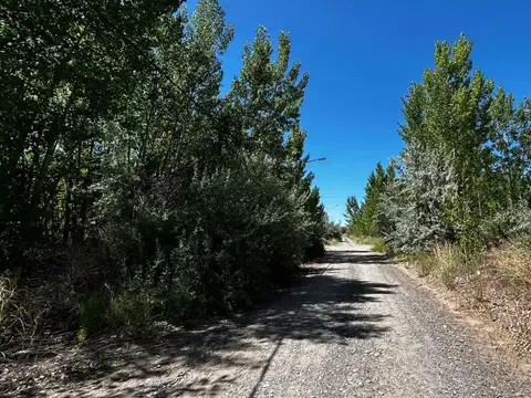 Terreno en Venta en Añelo, USD 59.800