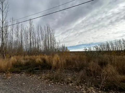 Terreno en Venta en Añelo, USD 59.800