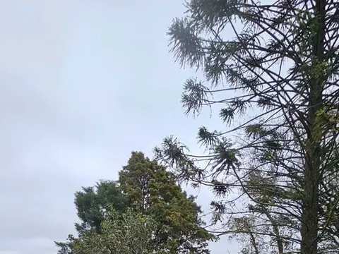 8 has en Manzanares 100