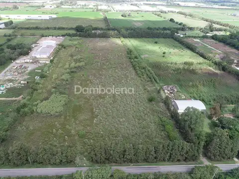 Camino de la Costa Brava - Zárat 100