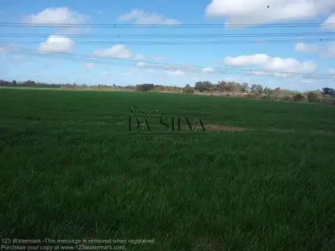 Acceso Zabala 8ha.