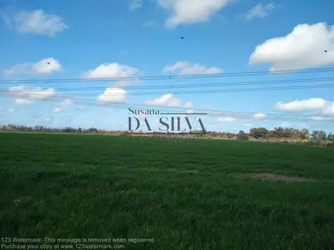 FRACCION DE CAMPO 8 ha Marcos Paz