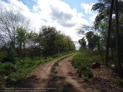 Acceso Zabala 8ha.