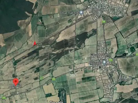 FINCA 34HAS. EN BETANIA GRAL. GUEMES