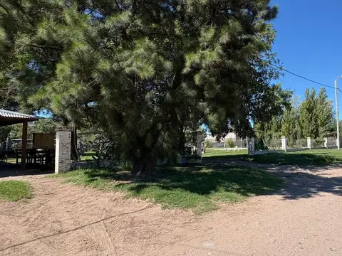 Quinta en Venta en General Pico, USD 150.000