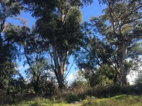 Lote Terreno venta Barrio San Juan Chico