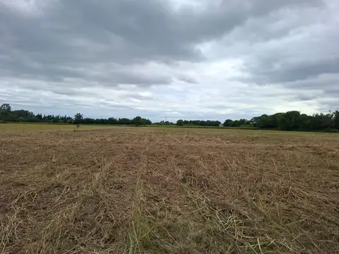 Terreno en Venta de 33481,0 m2