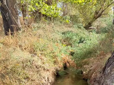 Terreno en Venta de 70000,0 m2