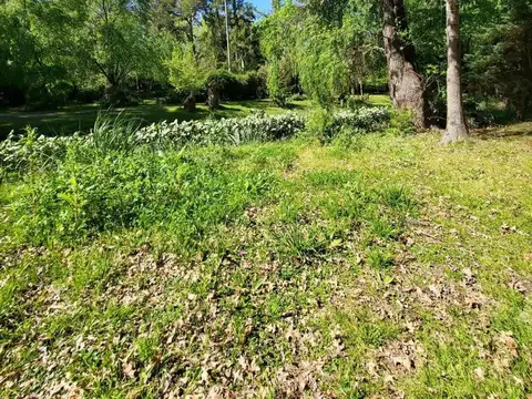 Lotes Nautico Parana de las Palmas