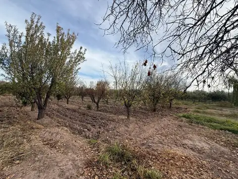 Emilio L. Furgoni , Piso 0