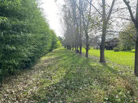 Terreno en Venta de 12363,0 m2