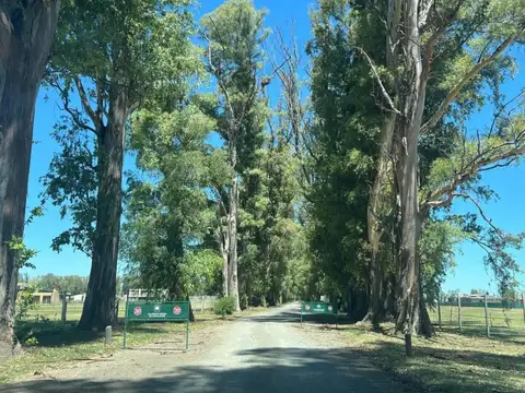 Terreno en Venta en General Rodríguez, USD 15.000