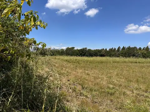 VENTA DE CAMPO APTO INDUSTRIAL/LOGISTICA EN ZARATE