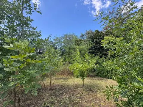 Terreno en Venta 27  mts Fondo