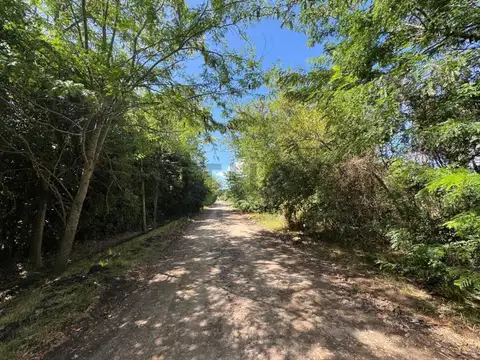 Terreno en Venta 15  mts Frente