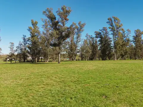 Terreno en Venta de 5101,0 m2