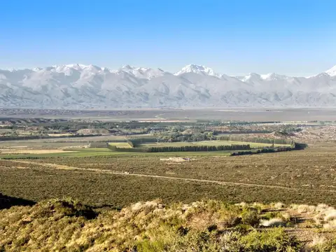 Terreno en Venta de 1000,0 m2