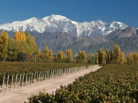 Lote en venta en Tupungato Valley | 1.000 m² con vistas a la Cordillera y Volcán Tupungato