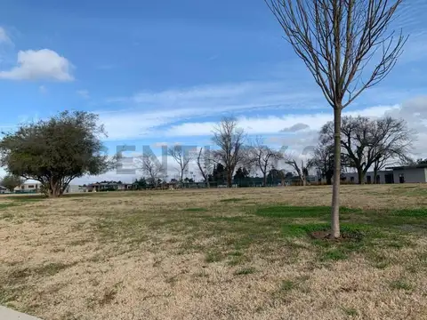 Manuel de Oliden 8900, Piso 0