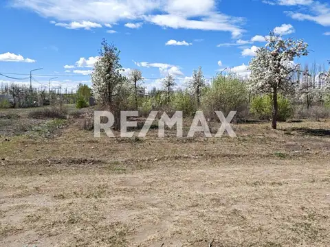 Terreno en Venta de 308,0 m2