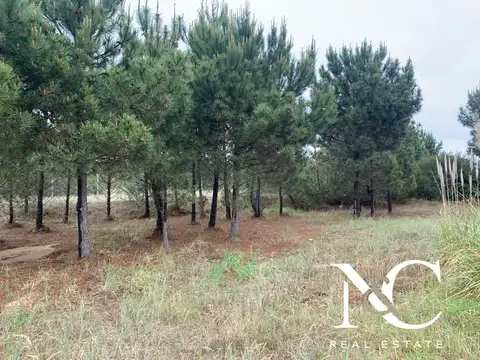 Terreno lote en venta en Costa Esmeralda Golf II