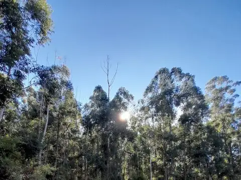 Campo en Venta de 1,45  ha