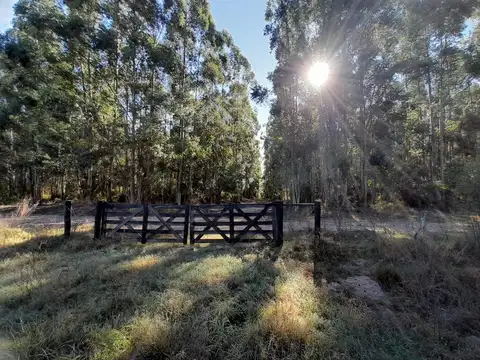 Campo en Venta de 1,45  ha