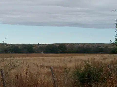 Terreno en Venta de 300,0 m2