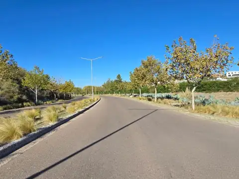 Terreno en Venta en Chacras de Coria, USD 79.000