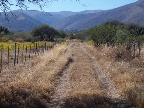 Fracciones de 5 Ha. Charbonier