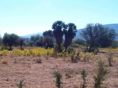 Fracciones de 5 Ha. Charbonier