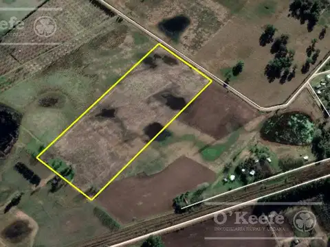 10 has en Cazón "El pueblo del millón de arboles"