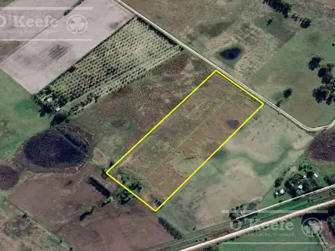 Chacra en venta de 10 has en Cazon, Saladillo