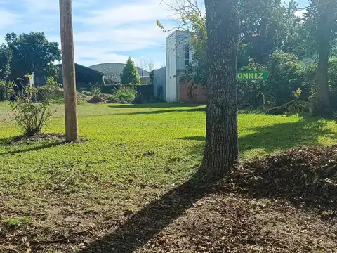 Castelli,e/ Francou Y José Moix.villa Elisa E.rios