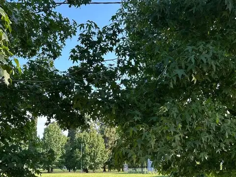 Terreno en Los Molinos