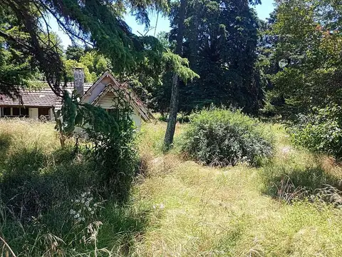 Terreno en Alquiler de 3358,0 m2