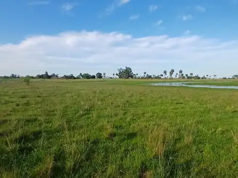 Terreno en Venta de 800,0 m2