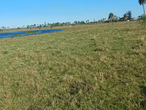 Terreno en Venta de 800,0 m2