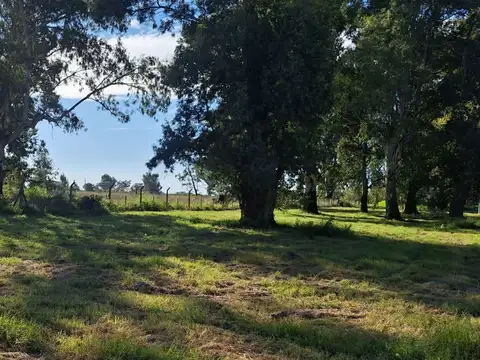 Terreno en Venta en Colastine, USD 32.000
