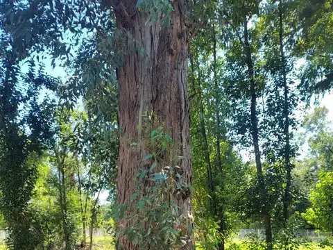 Terreno en Venta de 440,0 m2